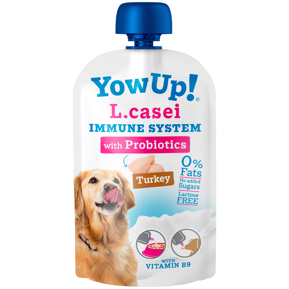 Yow up L.casei