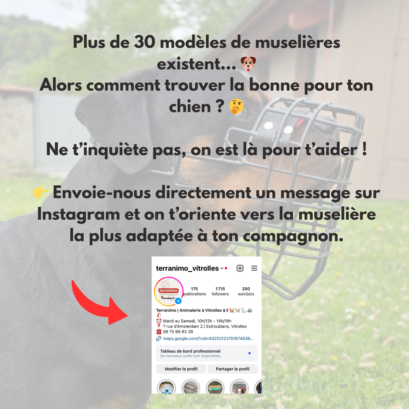Muselière Cage CHOPO I Plusieurs tailles disponibles