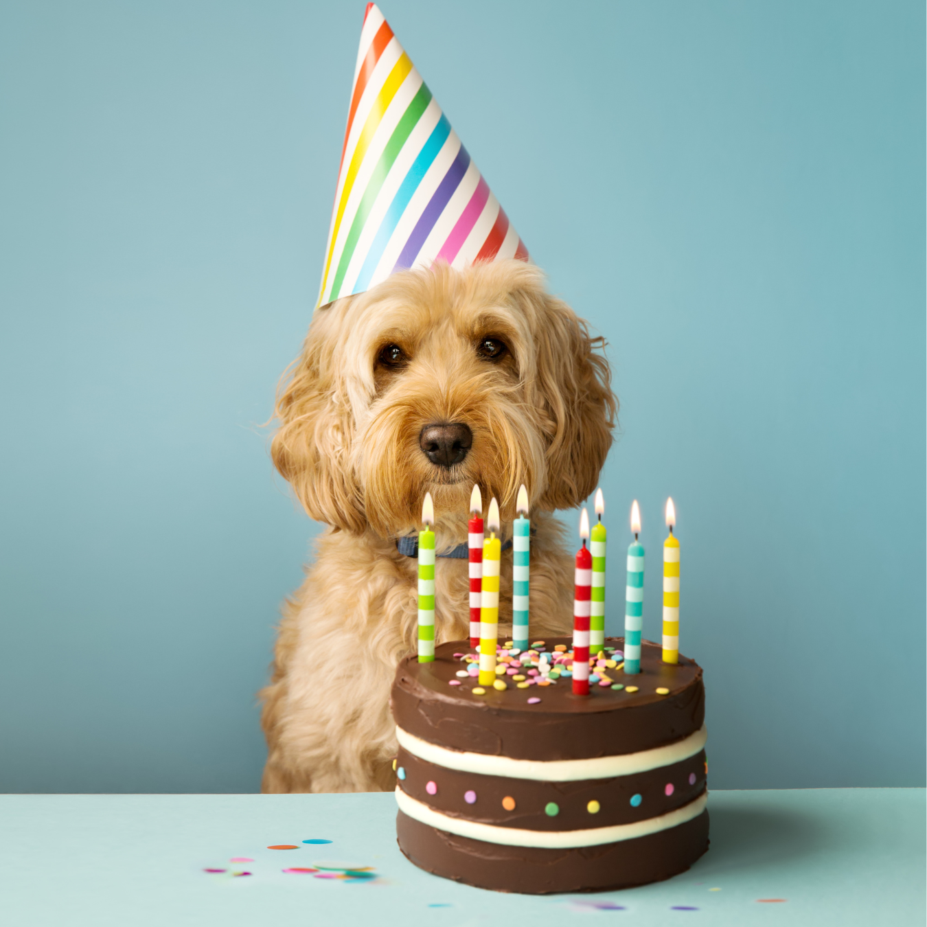 Anniversaire