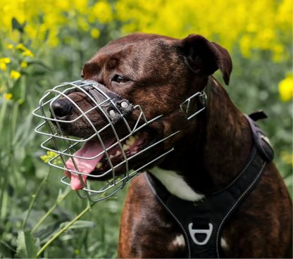 Muselière Cage CHOPO I Plusieurs tailles disponibles