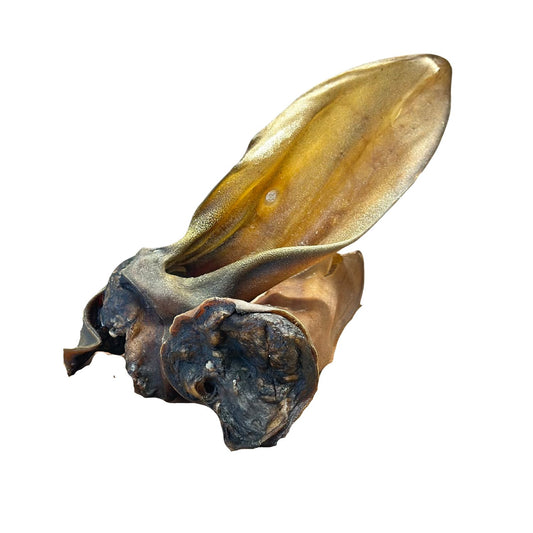 Oreille bœuf sans poils