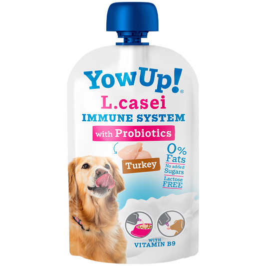 Yow up L.casei