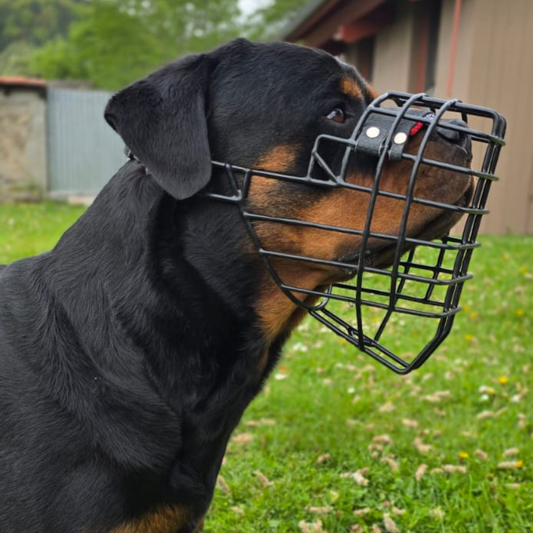 Muselière Cage CHOPO I Plusieurs tailles disponibles