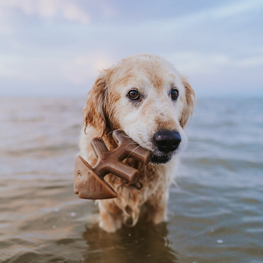 Fishbone