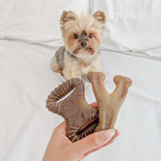 Dental chew / Tiny pack