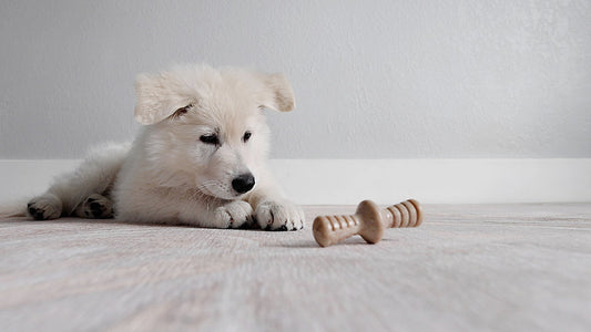 Puppy pack