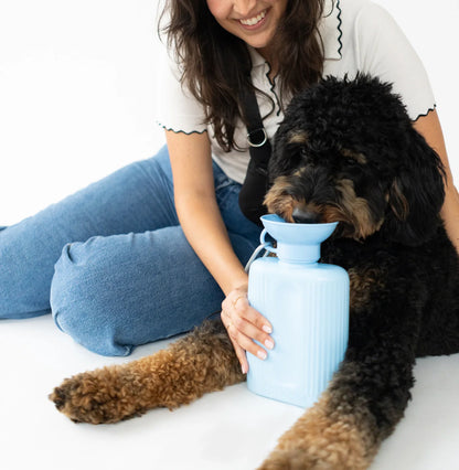Gourde Growler Springer bleu