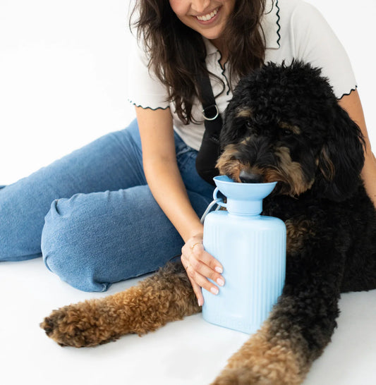 Gourde Growler Springer bleu