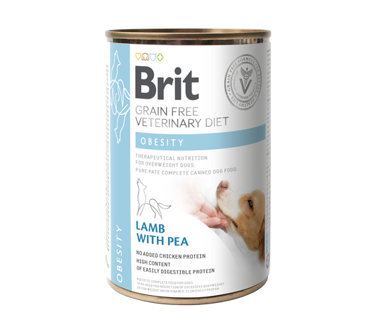 Obesity Brit