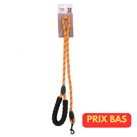 LAISSE NYLON REFLECHISSANTE 1.20M