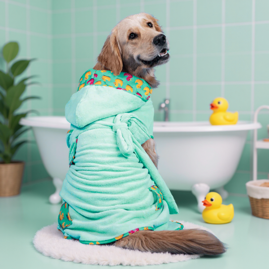 Peignoir pour chien Max et Molly I  Baby Blue