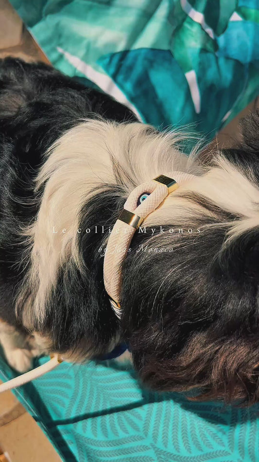 Collier pour chien Mykonos I Blanc